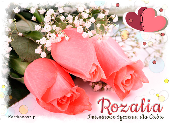 Róże dla Rozalii