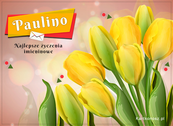 Tulipany dla Pauliny