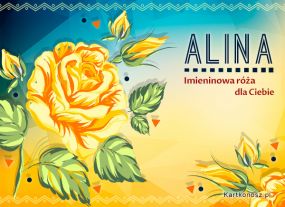 Imieninowa róża dla Aliny