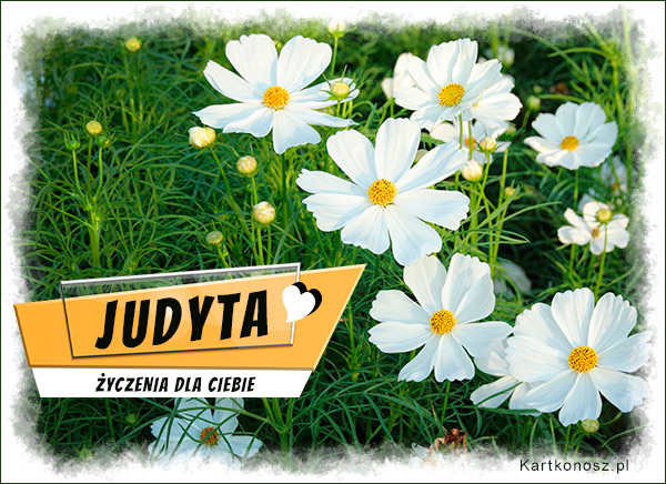 Imieninowe kwiaty dla Judyty