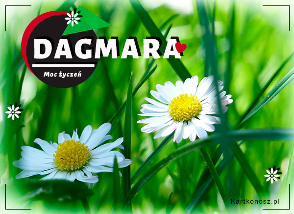 Kwiatuszki dla Dagmary