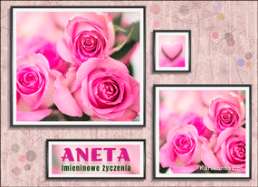 Róże dla Anety