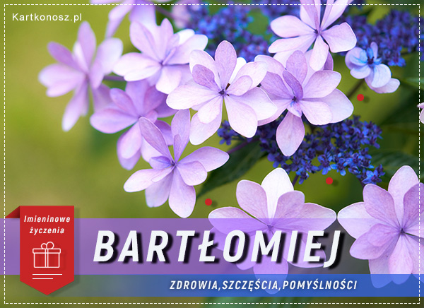 Bartłomiej - Kartka Imieninowa