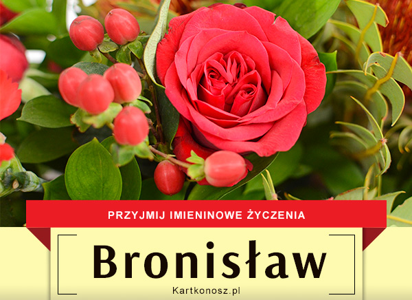 Bronisław - Kartka Imieninowa