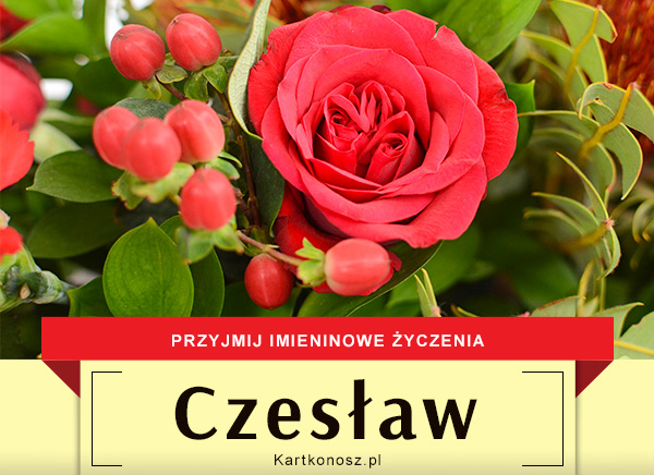 Czesław - Kartka Imieninowa