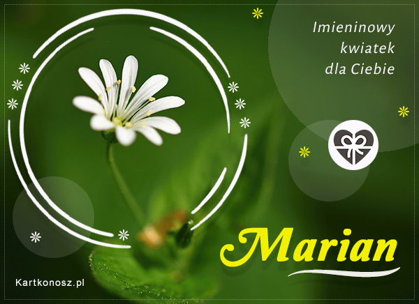 Imieninowy kwiat dla Mariana