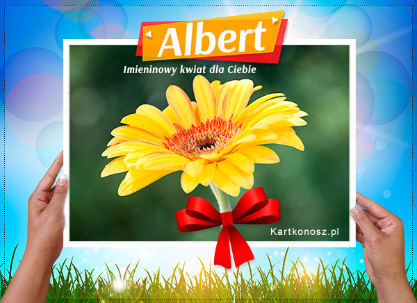 Kwiat dla Alberta