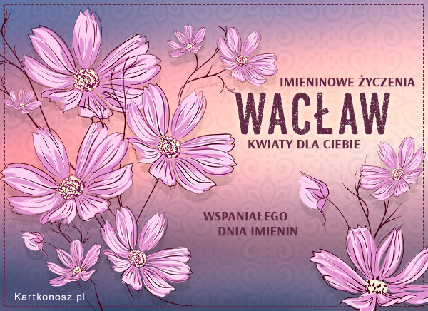 Kwiaty dla Wacława