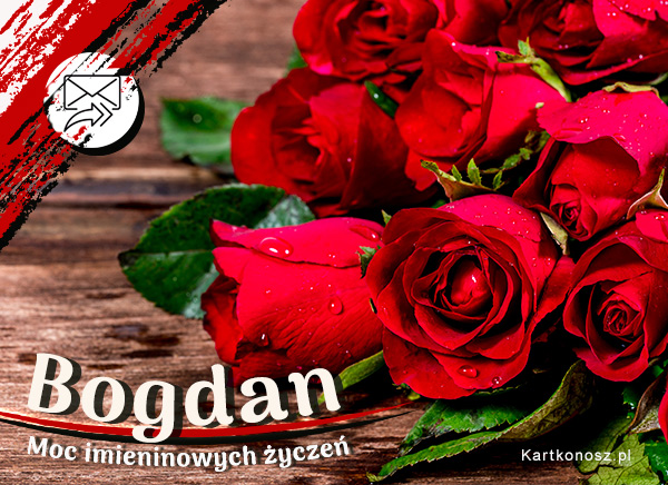 Róże dla Bogdana