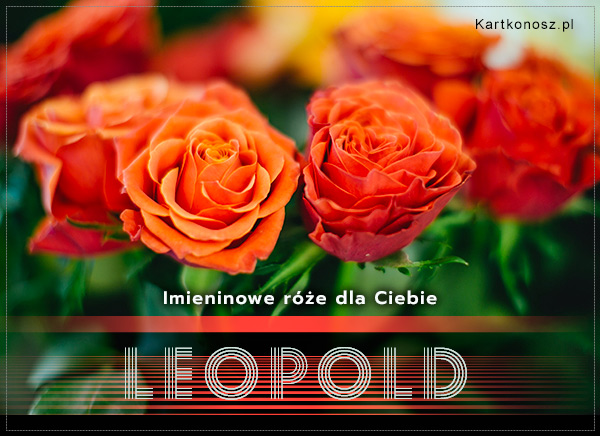 Róże dla Leopolda