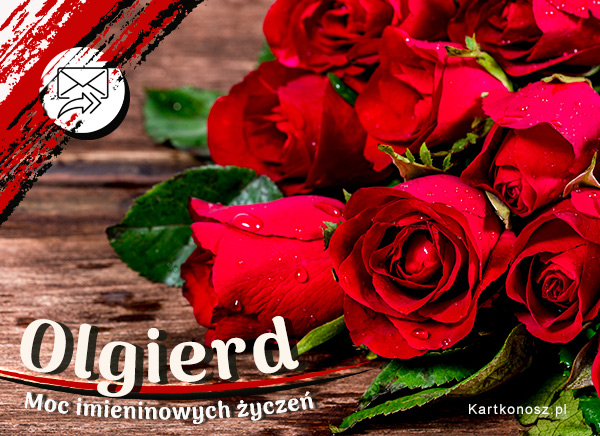 Róże dla Olgierda