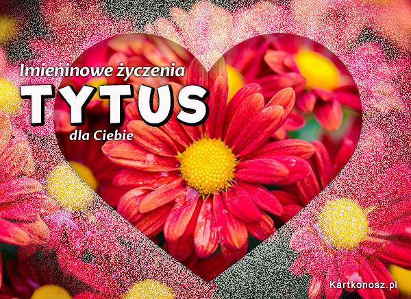 Życzenia dla Tytusa