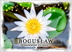 Imieniny Bogusława