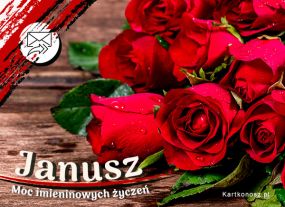 Róże dla Janusza